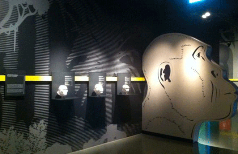 boob_referenzen_darwineum_ausstellungsraum_evolution_770x500