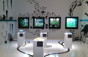 boob_referenzen_darwineum_ausstellungsraum_fosilien_770x500