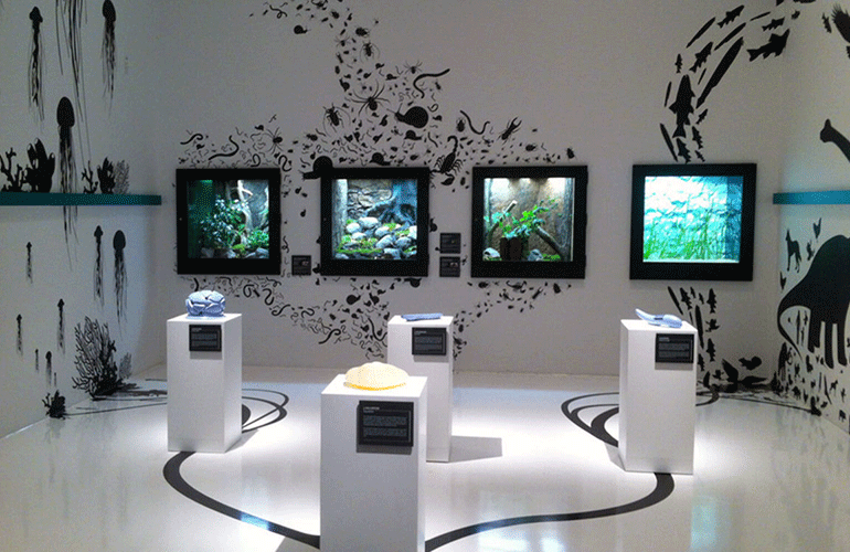 boob_referenzen_darwineum_ausstellungsraum_fosilien_770x500