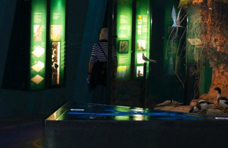 boob_referenzen_ozeaneum_ausstellung_770x500