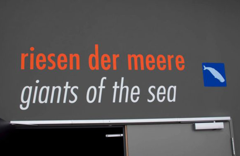 boob_referenzen_ozeaneum_riesen_der_meere_770x500
